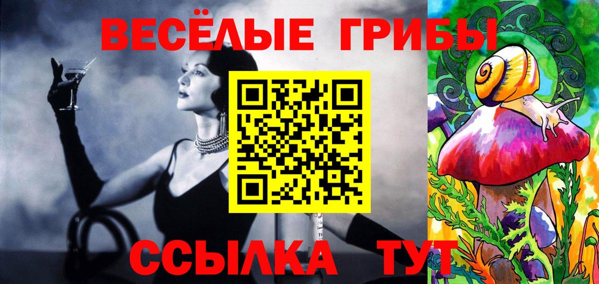 Галлюциногенные грибы Psilocybine cubensis  Вход с VPN  Владикавказ 
