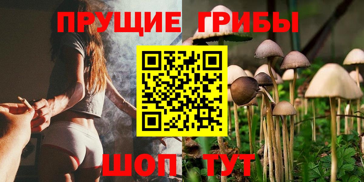 Галлюциногенные грибы MAGIC MUSHROOMS Владикавказ